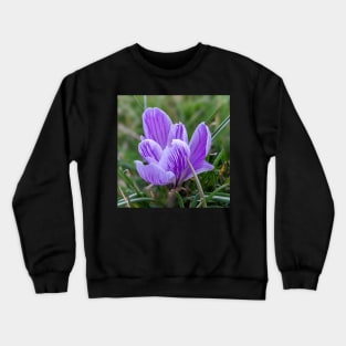 Purple and White Flower Profile 1 Crewneck Sweatshirt